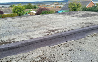 leaking flat roof in mold